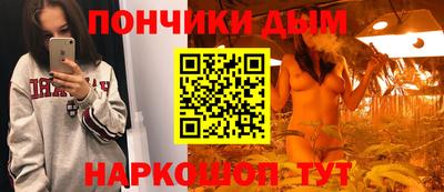 СК Бийск