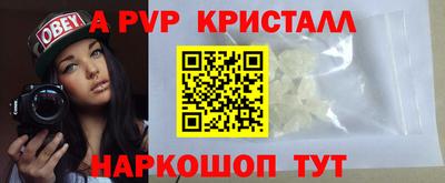 СК Бийск