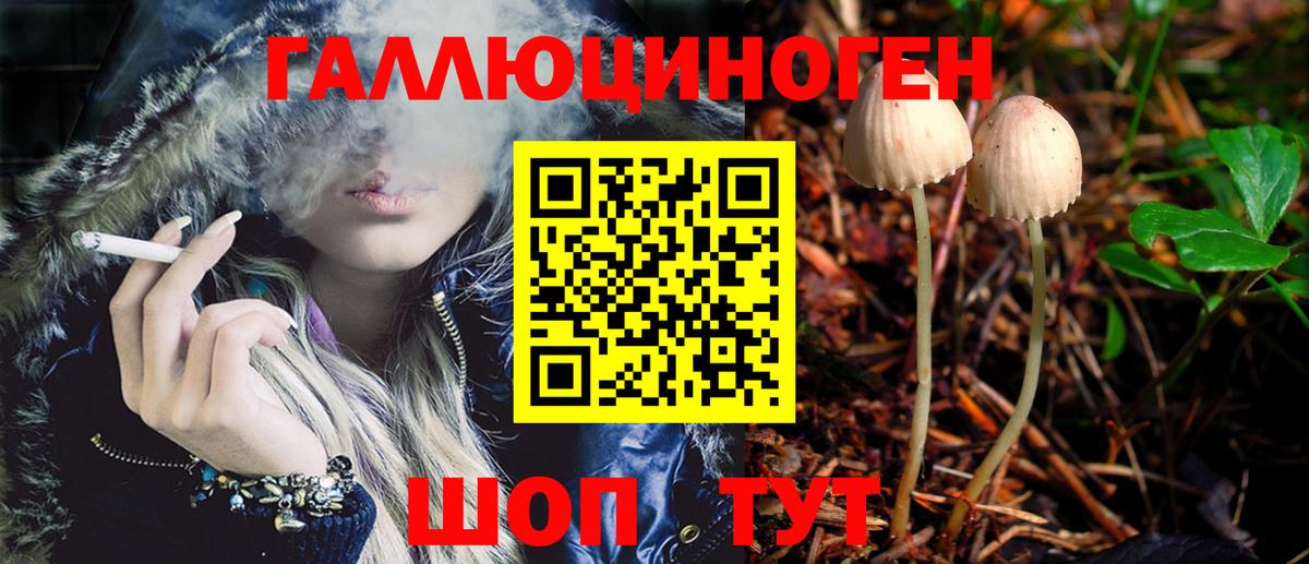 Псилоцибиновые грибы мухоморы Избербаш