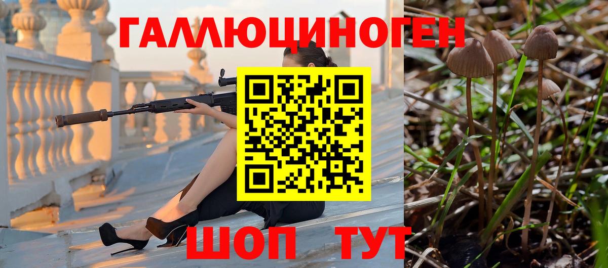 Псилоцибиновые грибы Cubensis  Вход с VPN  Избербаш  Псилоцибиновые грибы мицелий 